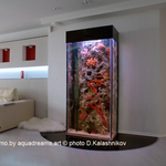 Аквариумы и водопады для вашего интерьера