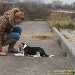 Групповые занятия по дрессировке в центре Минска