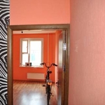 Сдается квартира под офис на пр Любимова 36м по 15 евро.