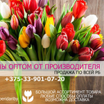 Продажа тюльпанов оптом. РБ. Низкие цены