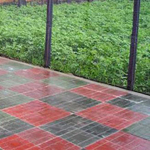 Укладка тротуарной плитки от 50м2 Минск / Правдинский