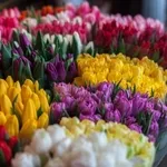 Живые цветы недорого оптом к 8 Марта