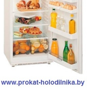 Прокат холодильников в Минске с доставкой