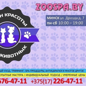 Салон красоты для животных в Минске