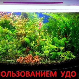 Удобрения(микро,  макро,  калий,  железо) - для аквариумных растений