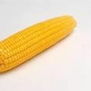 Кукуруза фуражная,  кукуруза оптом,  кукуруза фуражная оптом с доставкой