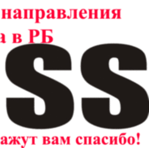 Партнер-руководитель в РеалБосс