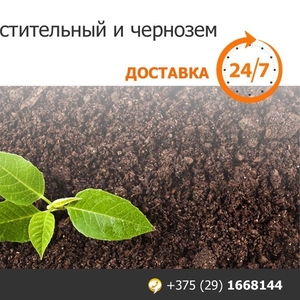 Грунт растительный и чернозем. Низкие цены. Минск