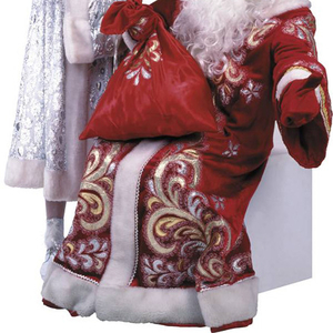 Новогоднее поздравление Деда Мороза и Снегурочки. Максимальный пакет