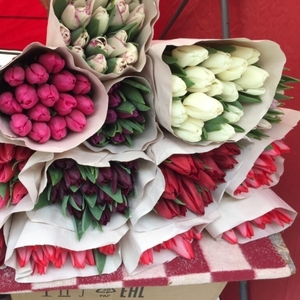 Белорусские тюльпаны оптом под заказ.