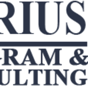 Borius Program & Consulting