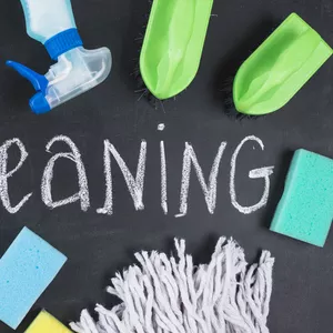 Профессиональный клининговый сервис