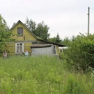Участок с домом,  Осиповичское направление 800 метров от станция ж/д Ра