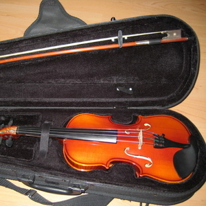 Продам скрипку Euphony 1/4 б/у в хорошем состоянии.