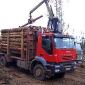 пиловочник сосновый с доставкой