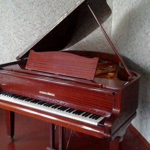 Германский концертный рояль August Forster - модель 215