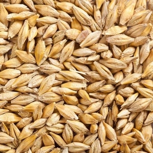 Зерно:ячмень,  пшеница, кукуруза