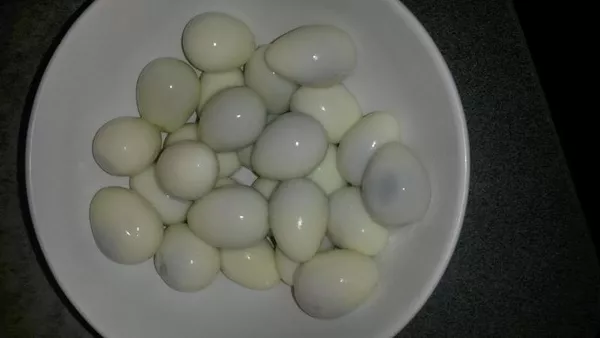 Перепелиные   яйца! 2