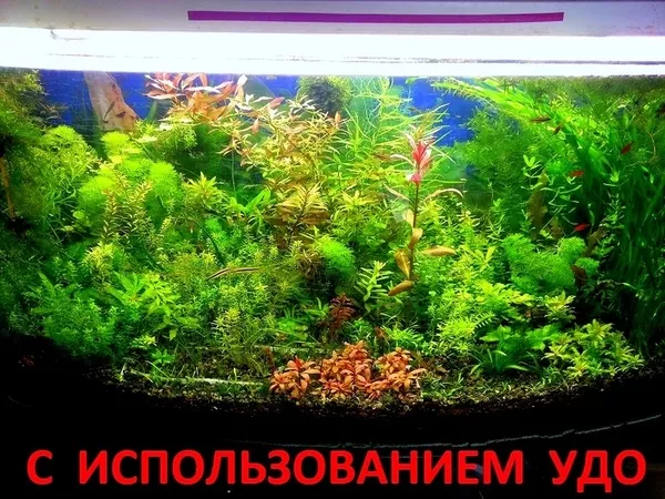 Удобрения- удо(микро,  макро,  калий,  железо) для аквариумных растений 4