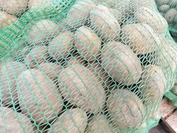 Картофель Лилея - Могилёв - 20 тонн 2