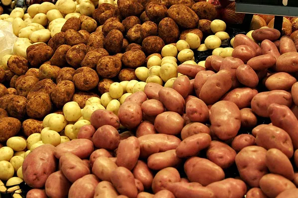 Картофель от 20 тонн - Бриз,  Скарб