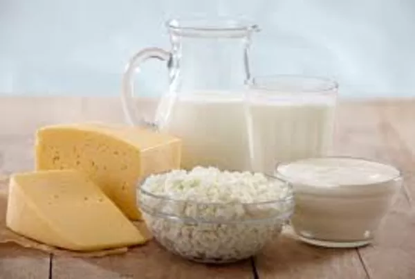 КУПЛЮ  сыр молочную продукцию  
