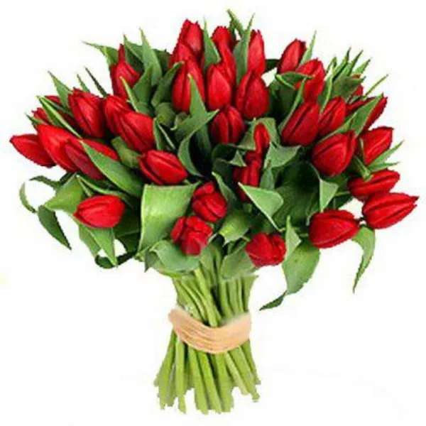 Цветы к 14 февраля и 8 марта.  Крокусы,  примулы,  гиацинты,  тюльпаны. 2
