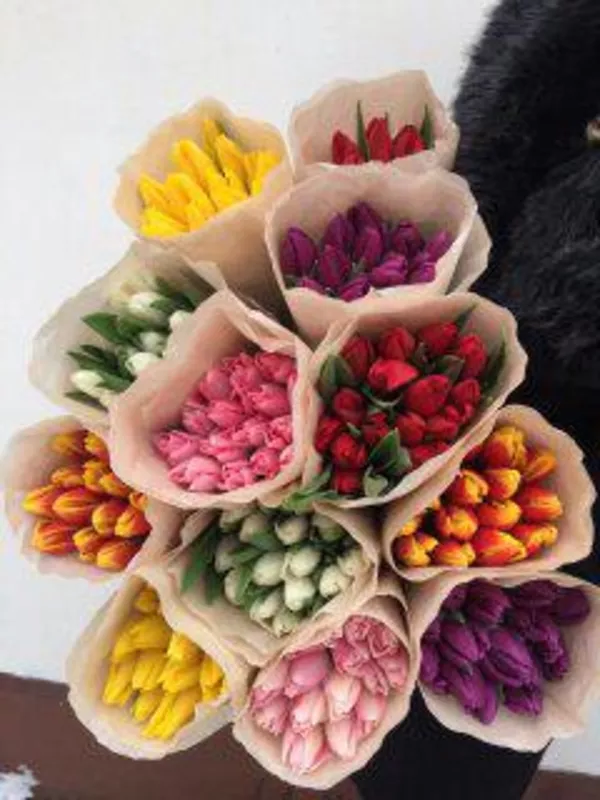 Продажа цветов с доставкой по Минску: крокусы,  примулы,  тюльпаны 2