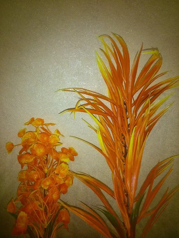 Растения для аквариума, яркие, красивые 25-35см