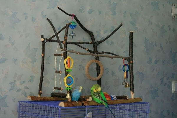 Игровые стенды для попугаев, из натурального дерева, возможна доставка