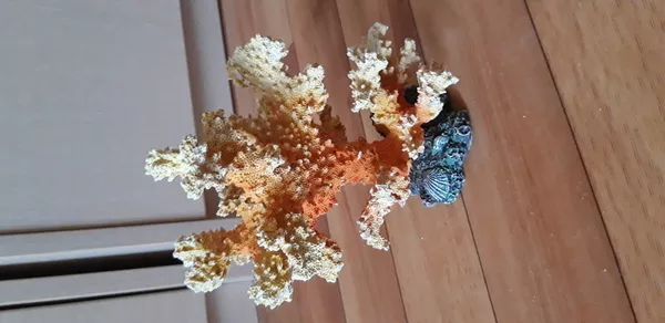 Кораллы разных видов, размеров и материалов для аквариума 7