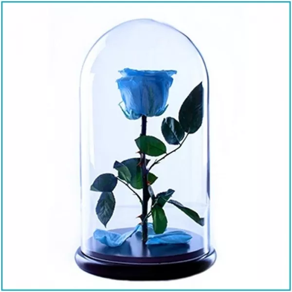 Роза в стеклянной колбе (28 см) 4