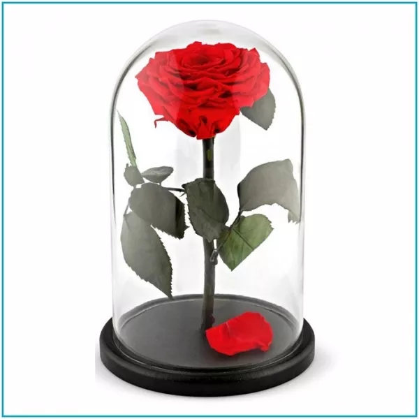 Роза в стеклянной колбе (28 см) 5