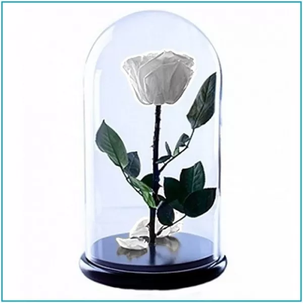 Роза в стеклянной колбе (28 см) 7