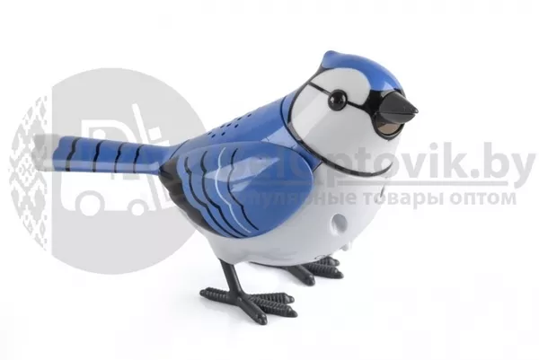 Интерактивная игрушка поющая птичка Chirpy Birds 4