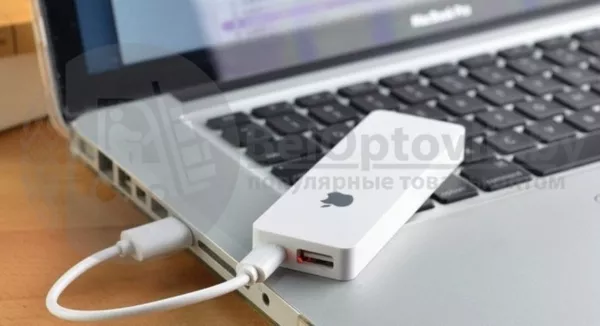 Портативное зарядное устройство Apple Power Bank 6000 mAh 3