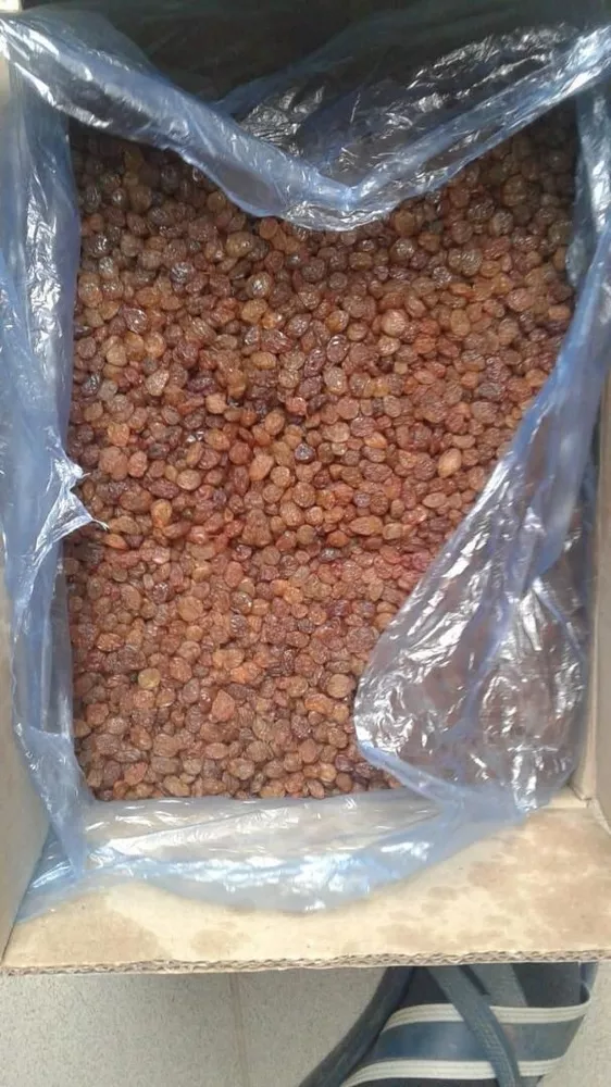 Продажа сухофруктов оптом от производителей из Узбекистана 8