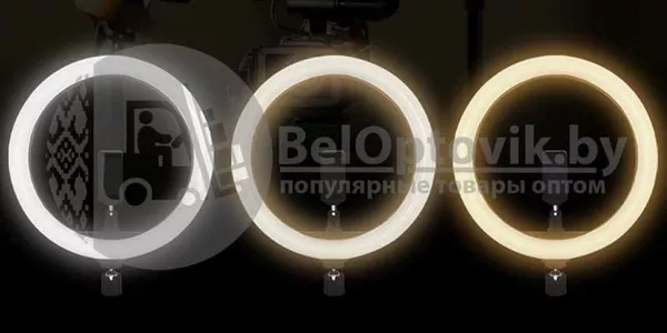 Кольцевая светодиодная лампа подсветка Nova M30 LED 180 d30 см  ШТАТИВ 5