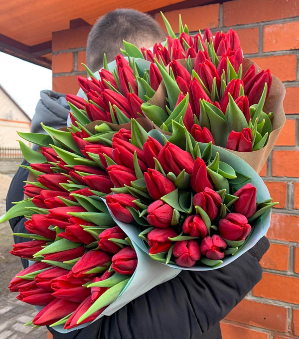 Тюльпаны оптом 2022 - купить за 1, 50 руб в Минске 6
