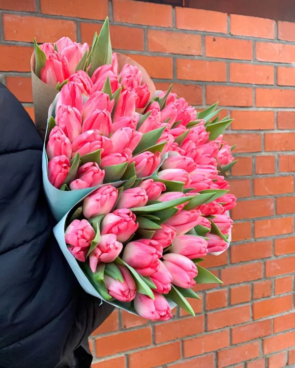 Тюльпаны оптом 2022 - купить за 1, 50 руб в Минске 7