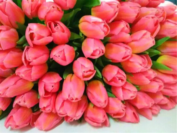 Тюльпаны розовые.Розница. 2