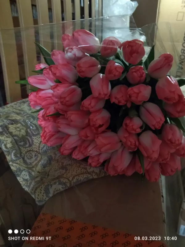Тюльпаны розовые. Композиции ,  букеты ,  микс. 2