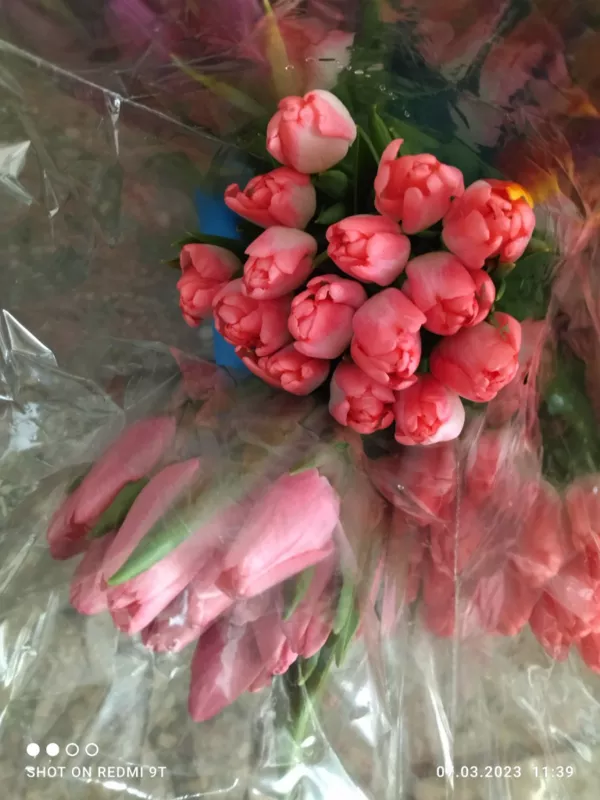 Тюльпаны розовые. Композиции ,  букеты ,  микс. 3