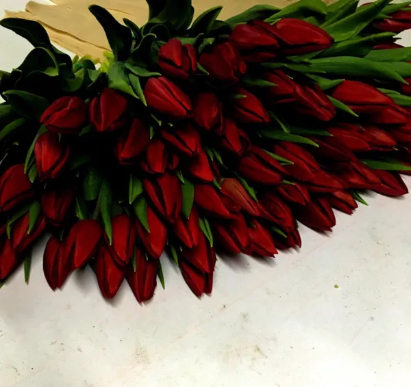 Тюльпаны опт красные. Документы. 2