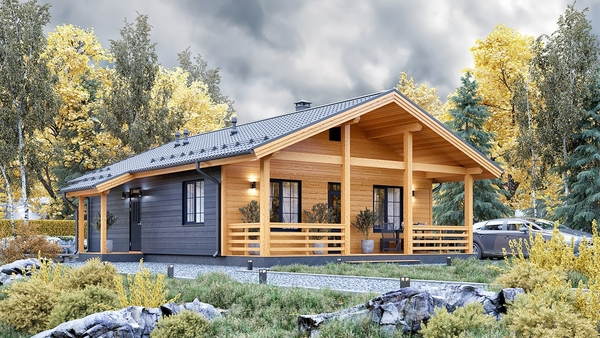 Каркасный дом 10, 4х8, 6 м