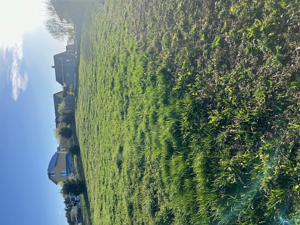 Продам участок земли в деревне Марьяливо