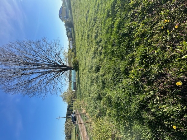 Продам участок земли в деревне Марьяливо 3