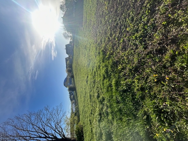 Продам участок земли в деревне Марьяливо 4