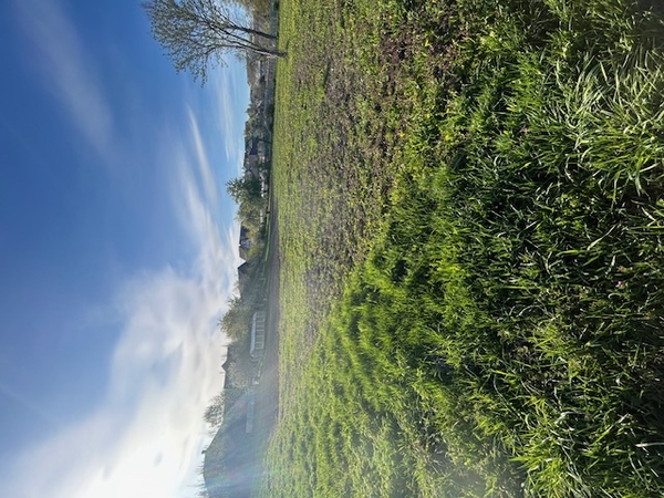 Продам участок земли в деревне Марьяливо 5