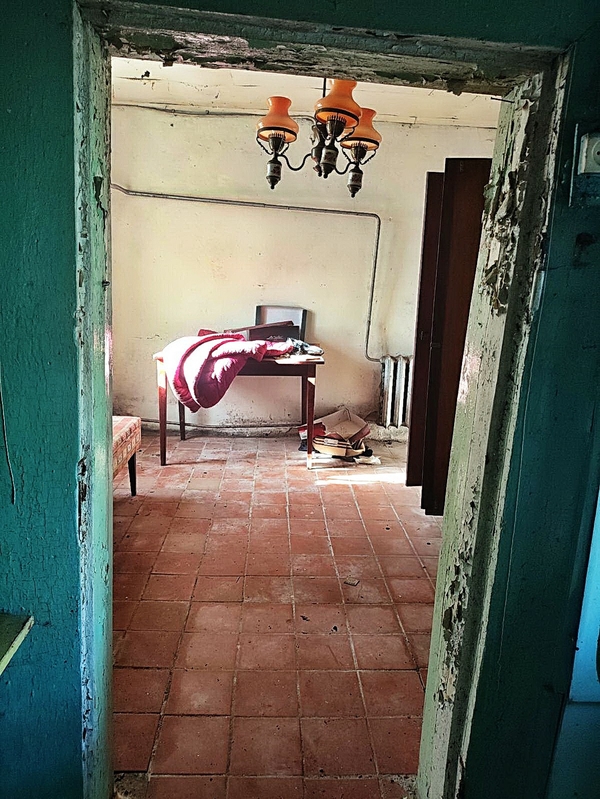 Продам 2-этажный дом на берегу озера Свирь в г.п. Свирь. 10